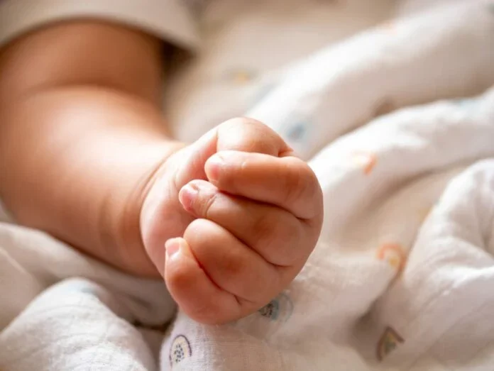 Φωτογραφία: google.com