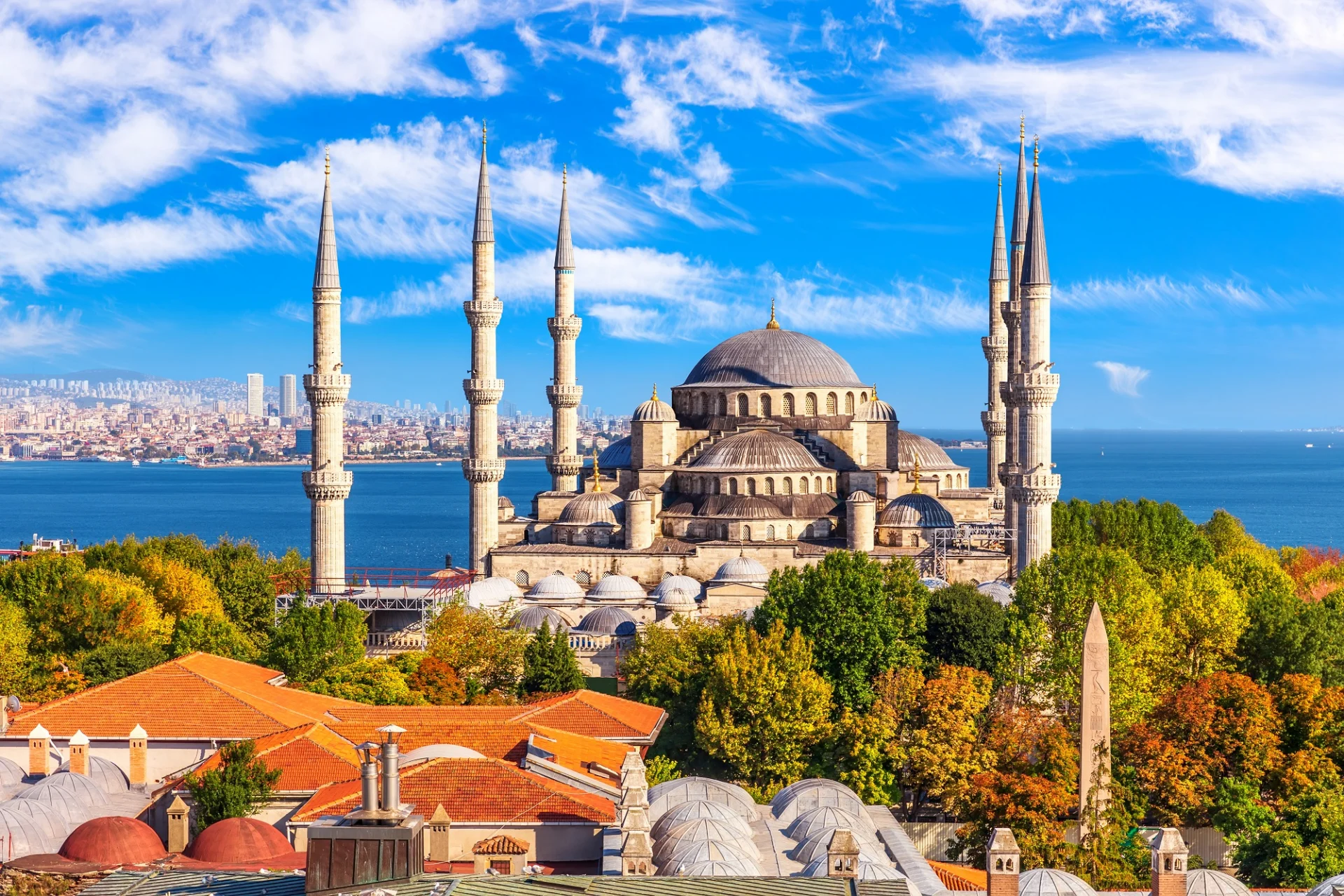 Φωτογραφία: google.com