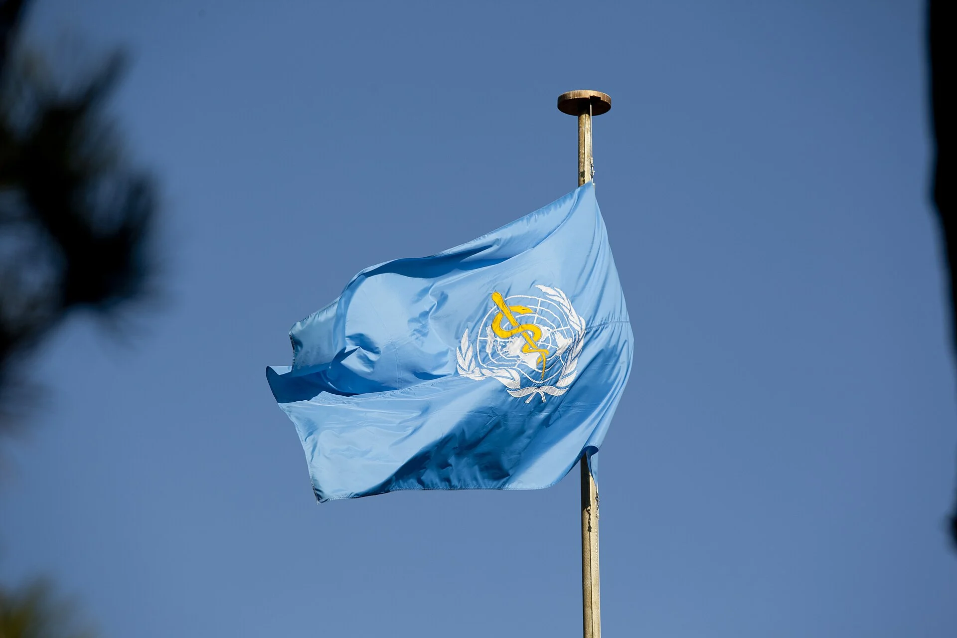 Φωτογραφία: United States Mission Geneva · Πηγή: Wikimedia Commons (CC BY 2.0)