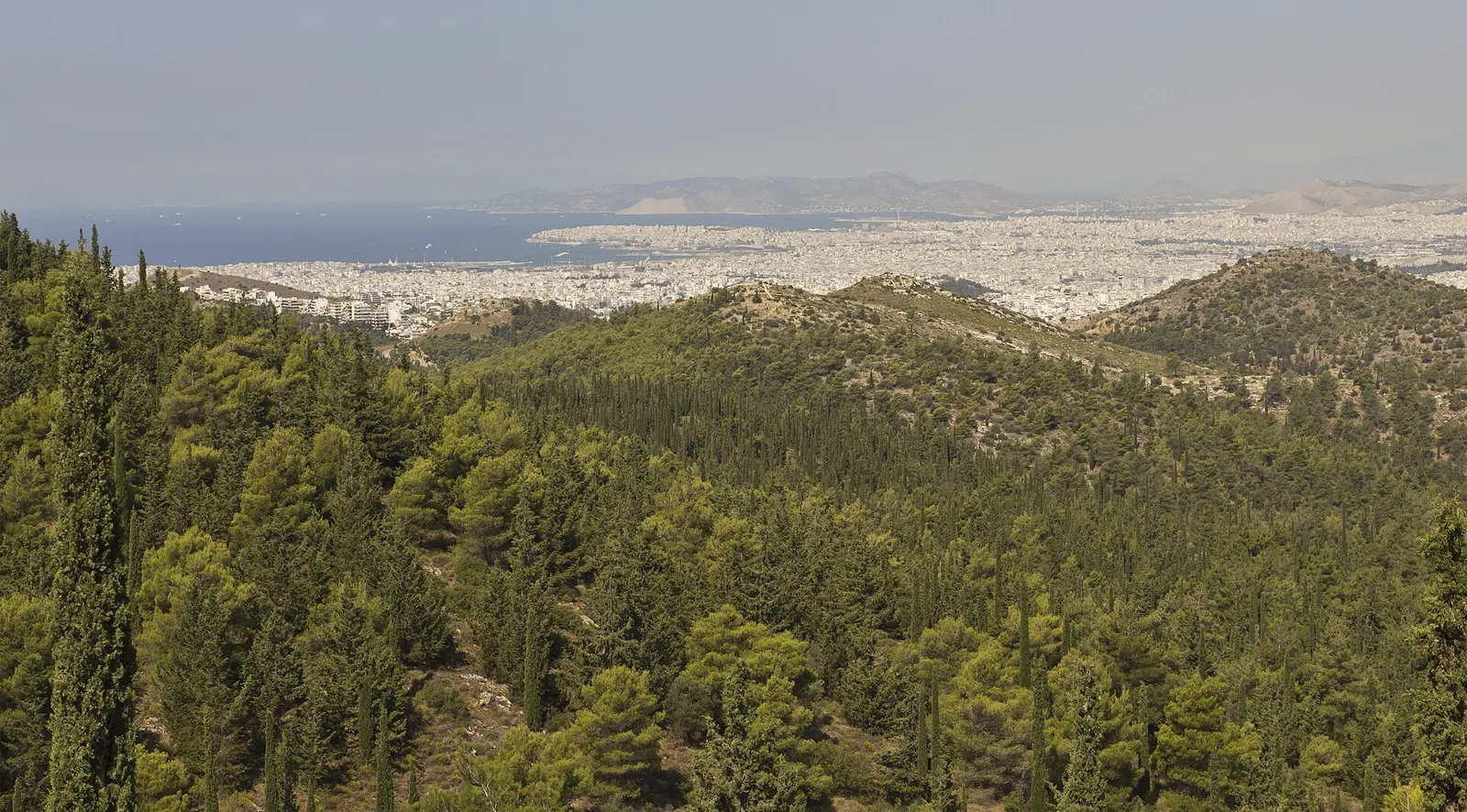 Ενδεικτική φωτογραφία: A.Savin / Wikimedia Commons (CC BY-SA 3.0)